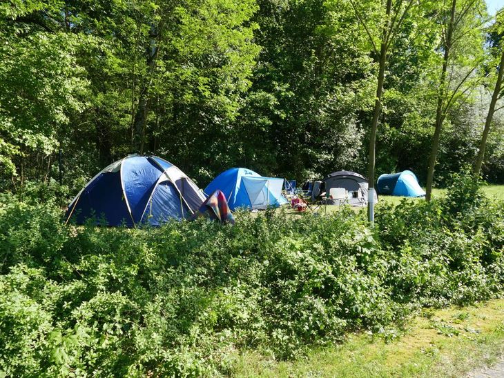 Camping-Ratgeber   - Magazin